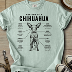 Anatomy of a Chihuahua I T-Shirt