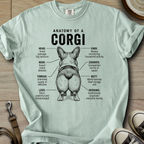 Anatomy of a Corgi I T-Shirt
