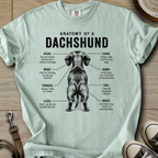 Anatomy of a Doxie I T-Shirt