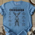 Anatomy of a Chihuahua I T-Shirt