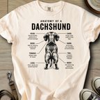 Anatomy of a Doxie I T-Shirt
