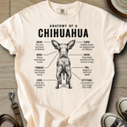 Anatomy of a Chihuahua I T-Shirt