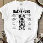 Anatomy of a Doxie I T-Shirt